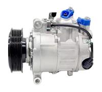 Compressore A/C 7SEU16C Compatibile per Audi A4 B6 A6 C5 A8 4471500590 4471707900 4471707901 4471707902 4B0260805H 4E0260805E 8E0260805F