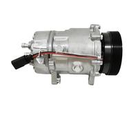 Compressore A/C per Skoda per Octavia 1U2 Compressore Aria condizionata Striving Bird