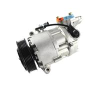 Compressore AC 64529182793 64509156821, Compatibile for BMW E81 E82 E87 E88 E90 E91 E92 E93 E93LCI X1, E84 64509145351 64526915380 64529156821
