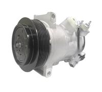 Compressore AC AC compatibile for Dodge Caliber Jeep Compass Patriot RL111610AB 55111610AA 55111610AB 55111610AC 447150-0751