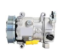 Compressore aria condizionata AC compatibile for PEUGEOT 207 307 CC compatibile for Citroen DS3 C4 1607424980 1671553680 6453QJ 9678656080 9651910980