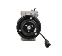 Compressore, aria condizionata DELPHI CS20331 per FORFOUR (454) 1.1 2004-2006