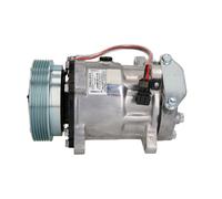 Compressore aria condizionata DELPHI CS20491