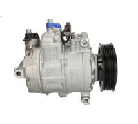 Compressore, aria condizionata DENSO DCP02028 per AUDI A4 B6 (8E2) 3 2001-2004