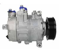 Compressore, aria condizionata DENSO DCP02041 per SEAT EXEO (3R2) 2 2009-2013
