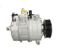 Compressore, aria condizionata DENSO DCP32021 per PHAETON 3 2004-2007
