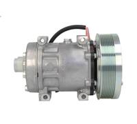 Compressore, aria condizionata MAHLE ACP 1066 000S
