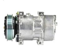 Compressore, aria condizionata MAHLE ACP 174 000S per KERAX 11.123 2001-2006