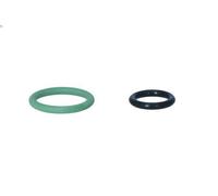 Compressore, aria condizionata NRF 320058 per SCENIC III (JZ0/1_) 1.5 2009-2016