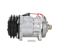 Compressore climatizzazione PAG 100 32138 NRF