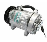 Compressore Aria Condizionata Sanden 4434