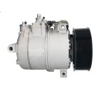 Compressore, aria condizionata SANDEN ACE17035 per ACTROS 11.946 1996-2002