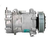 Compressore, aria condizionata SANDEN SD7C16-1390E per C4 I (LC_) 2 2004-2011