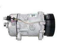 Compressore, aria condizionata SANDEN SD7V16-1221 per A3 (8L1) 1.6 1996-2003