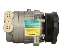 Compressore, aria condizionata TEAMEC 8600048 per CHEVROLET EVANDA 2 2005-2006