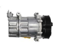 Compressore, aria condizionata THERMOTEC KTT090060 per C4 I (LC_) 2 2004-2007