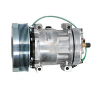 Thermotec Compressore aria condizionata KTT090325 R134a PAG 100