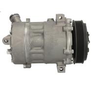 Compressore, Climatizzatore AIRSTAL 10-0100 per BMW 5 (E39) 4.4 1996-2003