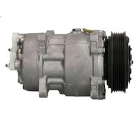Compressore, Climatizzatore AIRSTAL 10-0217 per PEUGEOT 406 (8B) 2 1998-2001