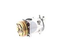 AKS DASIS 850870N Compressore aria condizionata