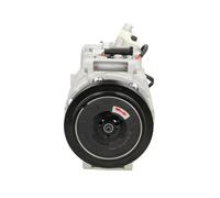 Compressore, Climatizzatore BV PSH 090.555.033.050 per MERCEDES CLASSE M (W163)
