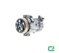 MAHLE ACP 557 000P A/C - Compressore