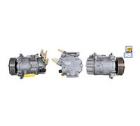 Compressore Climatizzatore Per Peugeot Citroën DS LUCAS OE 1611587380