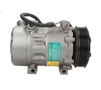Compressore, Climatizzatore TEAMEC 8600136 per PEUGEOT 406 (8B) 2 2000-2004