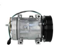 Compressore, Climatizzatore THERMOTEC KTT090003 per DAF CF 85 12.58 2005-2013