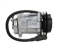 Compressore, Climatizzatore THERMOTEC KTT090008 per DAF 95 XF 12.58 1997-2002