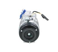 Compressore climatizzazione 090.215.021.050 BV PSH per BMW X5 X6 7 5 5 Touring