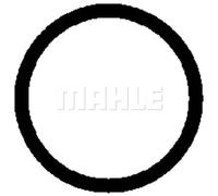 Compressore climatizzazione ACP 1086 000P MAHLE