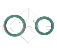 Compressore climatizzazione PAG 46 32883 NRF per AUDI A4 B6 A6 C5 A4 B6 Avant