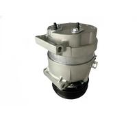 DELPHI CS20517 Compressore aria condizionata