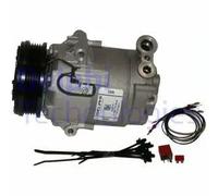 Compressore climatizzazione PAG 46 TSP0155458 DELPHI per OPEL ASTRA H Familiare