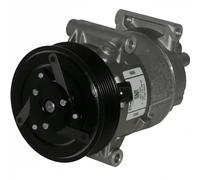 Compressore aria condizionata DELPHI TSP0155829