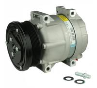 Compressore climatizzazione PAG 46 TSP0155953 DELPHI per DAEWOO CHEVROLET