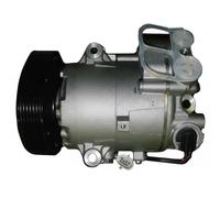 Compressore climatizzazione PAG 46 TSP0155966 DELPHI per OPEL ASTRA J GTC