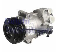 Compressore climatizzazione PAG 46 TSP0155989 DELPHI per OPEL CHEVROLET