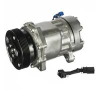 Delphi Compressore climatizzazione TSP0159060 PAG 46 per VW Audi Seat Ford Skoda