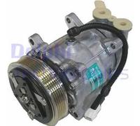 Compressore climatizzazione PAG 46 TSP0159424 DELPHI per PEUGEOT CITROËN