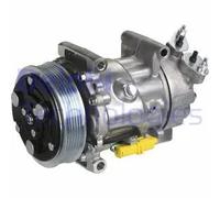 Compressore climatizzazione PAG 46 TSP0159851 DELPHI per CITROËN PEUGEOT FIAT