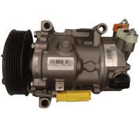 Compressore climatizzazione R 1234yf PAG 46 YF 10-5216 Airstal