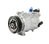 Denso Compressore climatizzazione DCP32060 R 134a PAG 46 per VW Skoda Audi Seat