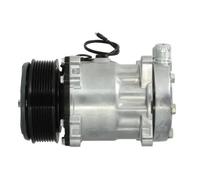Thermotec Compressore aria condizionata KTT090147 R134a PAG 100