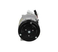 Compressore climatizzazione R 134a PAG 46 090.165.019.000 BV PSH per RENAULT
