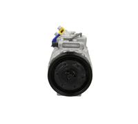 Compressore climatizzazione R 134a PAG 46 090.215.004.050 BV PSH per BMW 5 6 7