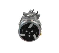 Compressore climatizzazione R 134a PAG 46 090.225.009.876 BV PSH per PEUGEOT