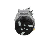 Compressore climatizzazione R 134a PAG 46 090.225.044.876 BV PSH per CITROËN DS