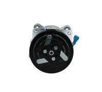 Compressore climatizzazione R 134a PAG 46 090.305.042.876 BV PSH per VW
